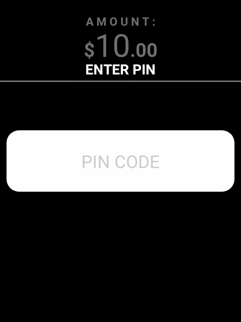 Enter PIN Screen